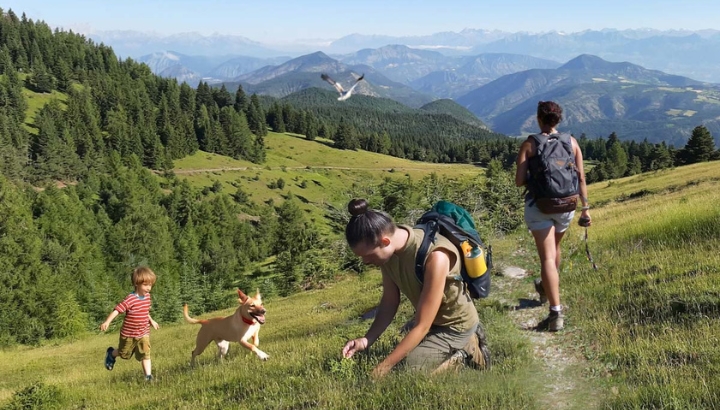 Profiter du printemps… tout en préservant la nature : les bons réflexes à adopter en milieu naturel